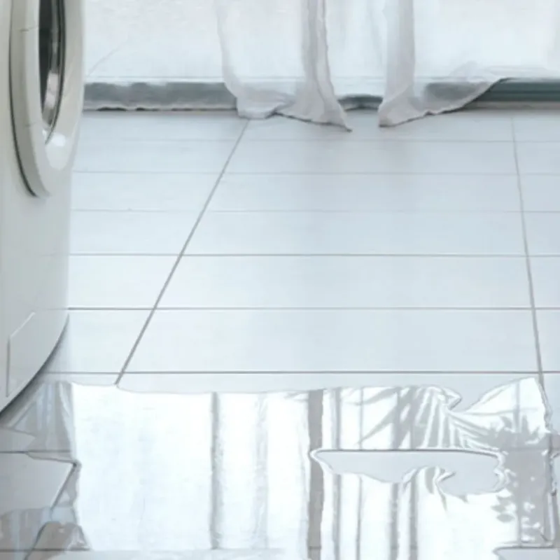 Appliance Leak Cleanup in Sumter County, FL