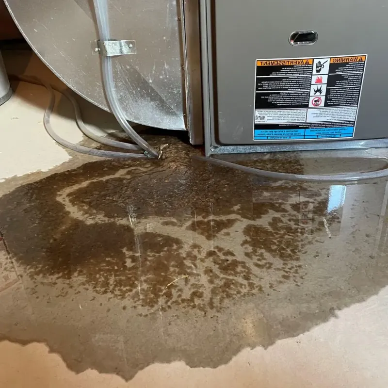 Pipe Burst and Leak Restoration in Sumter County, FL